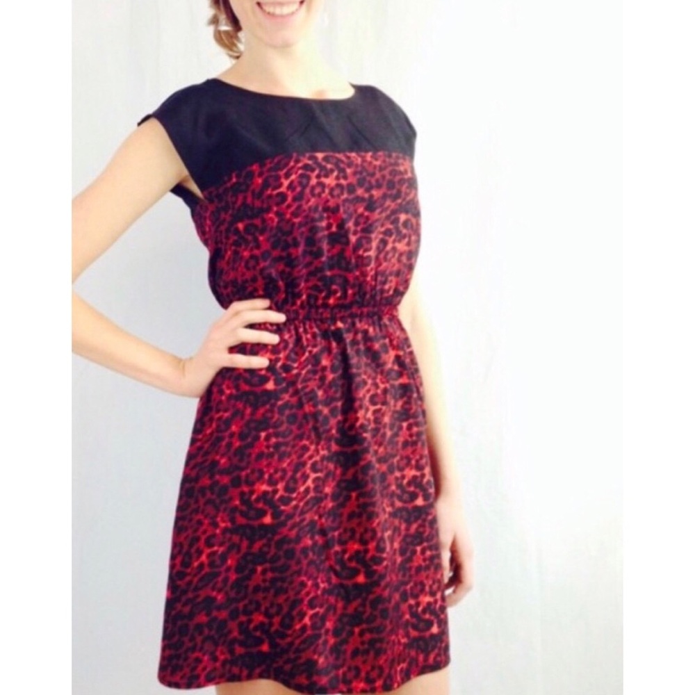 [Be Bop] animal print fit & flare dress #G12